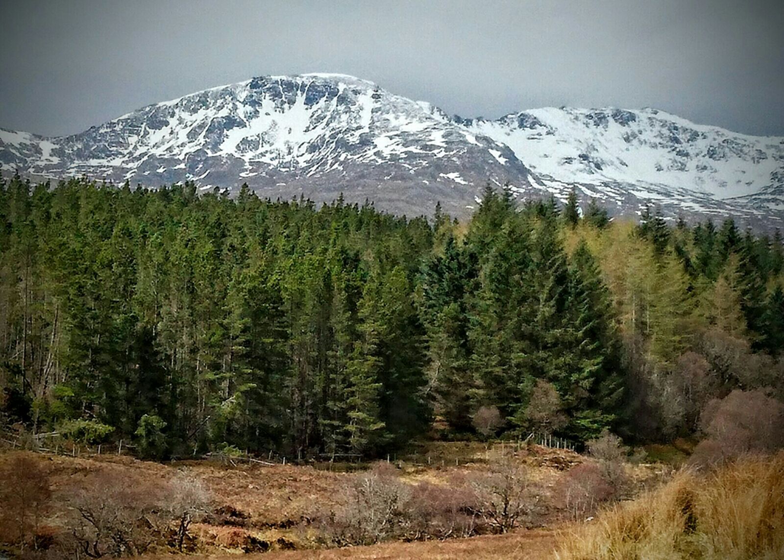 Ben More Assynt