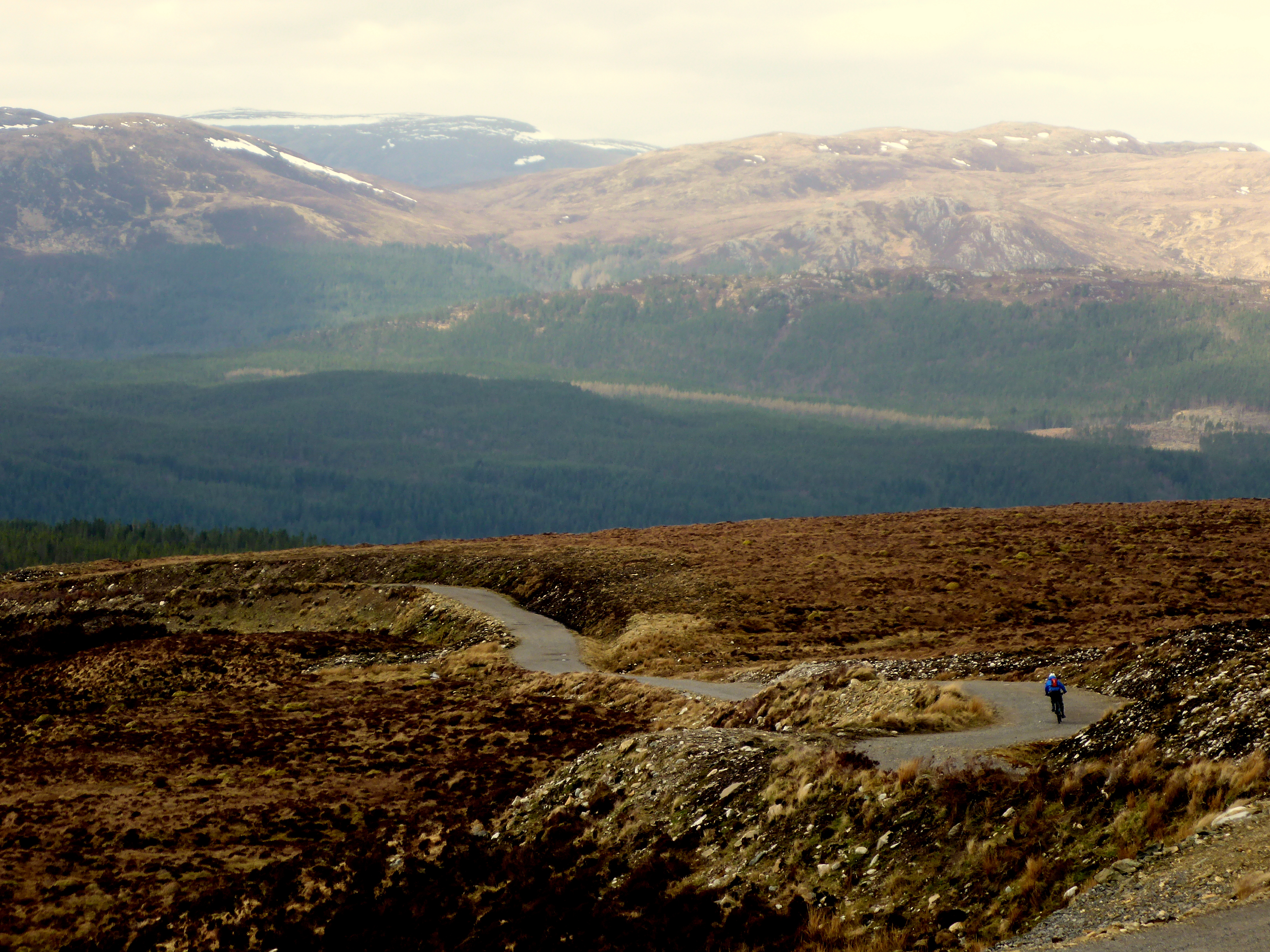 Descent into Glen Affric