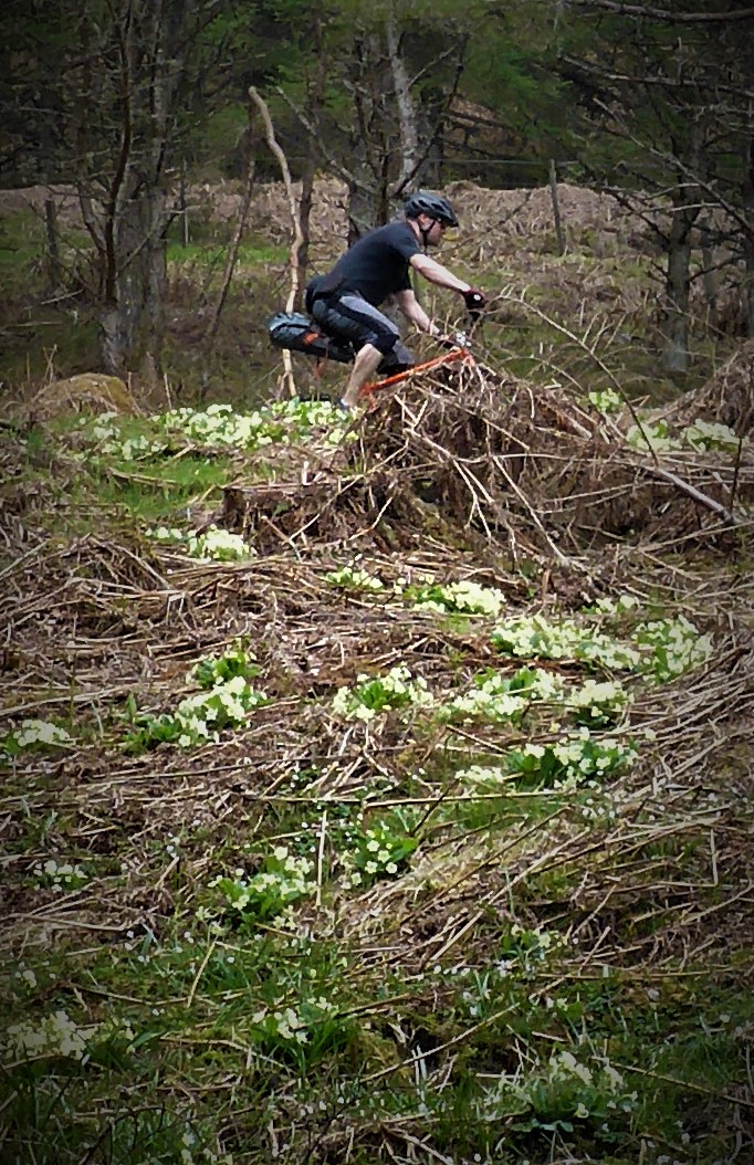Caulfield's road climb