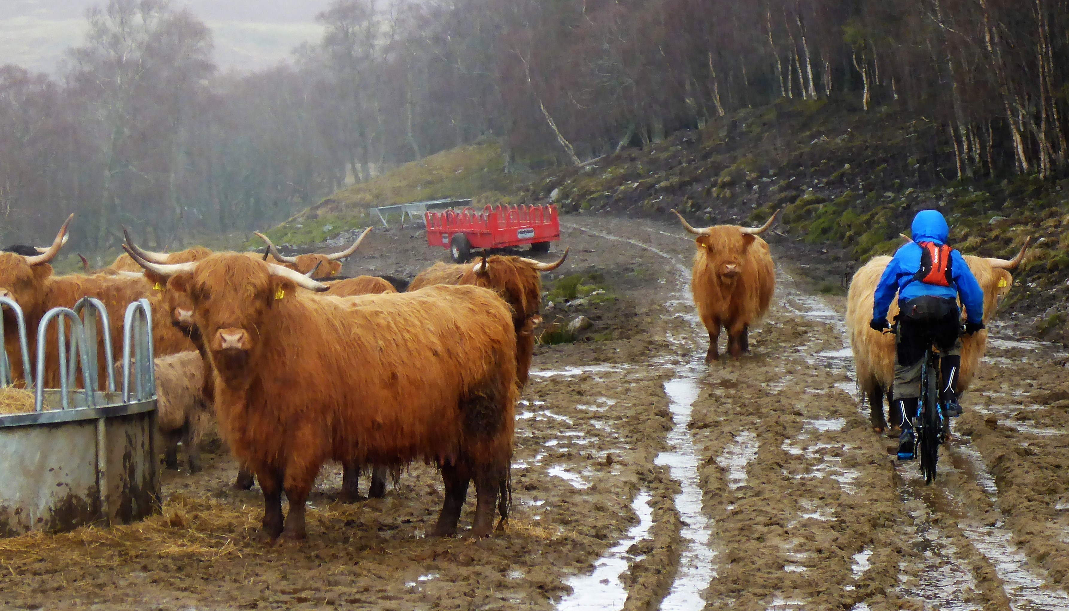 Traffic problems Gleann Mhor
