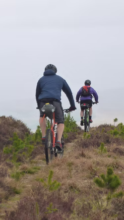 Caulfield's Road descent